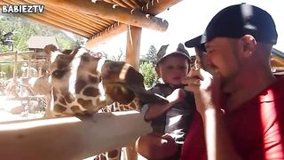 baby zoo
