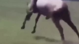 Pubg uzb 3