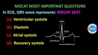 In ECG, QRS wave represents: #mdcatbiology #ETEABiology #circulation #transport