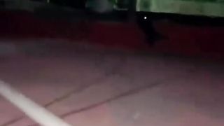 Funny Cats Won't Let You Down???? | Animals LOL Moments #funnyanimals #funnycats #shorts