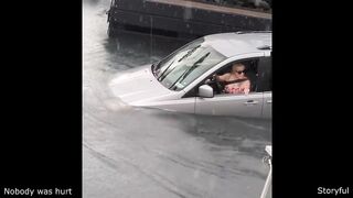The Dumbest Driver Ever
