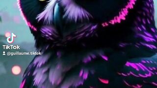 Animation of computer-drawn and very colorful animals