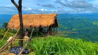 Beautiful Nature❤️????????