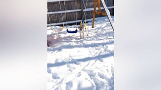 Try Not To Laugh Funny Videos - Unforgettable Fails and Mishaps 3
