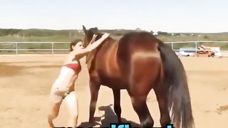 this horse has 200IQ!!!!!!