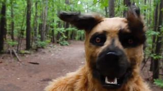 Funny video 793