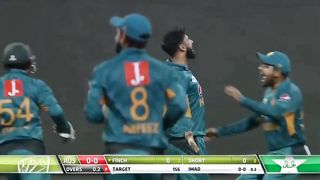 Cricket team is the best team in the world