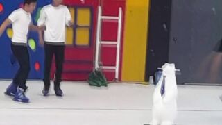 Funny video 797