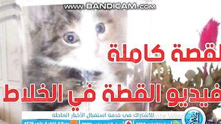 ا| أول ظهور للشخص الذي وضع القط في الخلاطCat in the Blender"