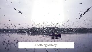 Soothing Evening