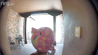 TAYLOR TALKS TO HER NEIGHBOR ON RING VIDEO DOORBELL AFTER RUNNING AWAY FROM A BOBCAT