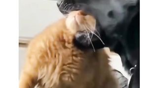 it's funny revenge time