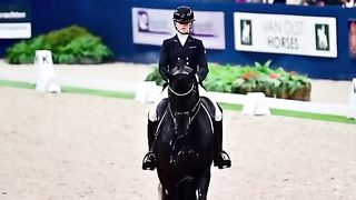 Horsegirl