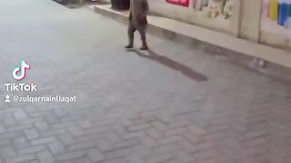 Action 8