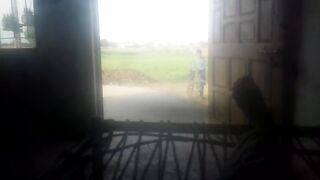 ایپس کے ذریعے ویڈیو بنائی گئی ہے