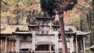 Beautiful Nature Video