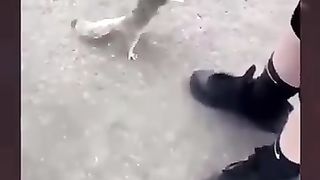 Insaneat Honi Chaheay Best Clip In World