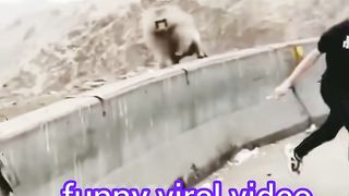 Funny Viral Video  | Funnyshorts Video