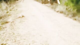 Deer jump #dog #animal