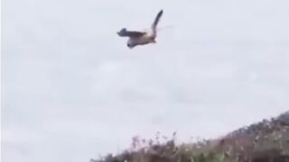 9 Minutes of Mind Blowing Moments Caught on Camera! 2