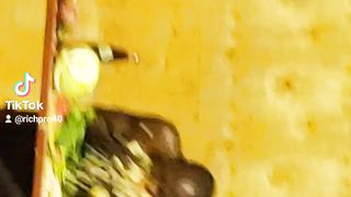 Best of 2023- Top Funny videos- TRY NOT TO LAUGH