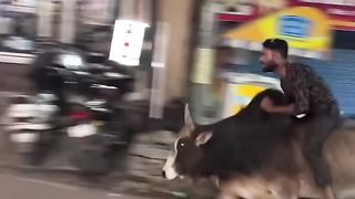 Funny videos 105