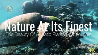 Nature At Its Finest ~ Soothing Music for Meditation, Therapy, Sleep @Kurt-Relaxation