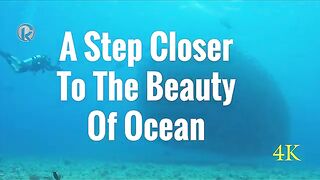A Step Closer to the Beauty of Ocean | Soothing Music for Meditation, Relaxation, and Stress Relief