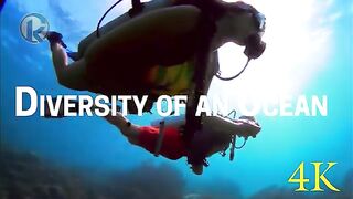 Diversity of an Ocean | Nature Relaxation and Stress Relief @Kurt-Relaxation
