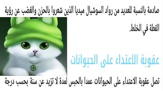 عق????????????وبه فيديو القطة في الخلاط  القط في الخلاطCat in the Blende????????????