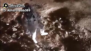 space video