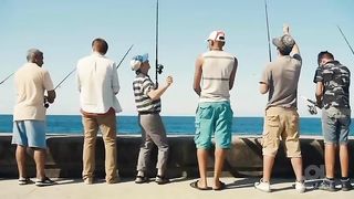 Funny video 831