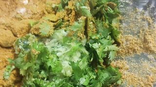 Hyderabadi Chicken Baryani