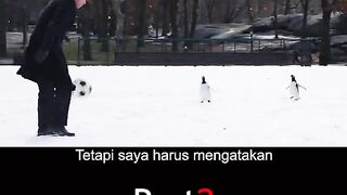 penguins magically change a man's life part 2