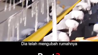6 penguins magically change a man's life part 3