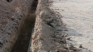 Suv tarmoqlari 4