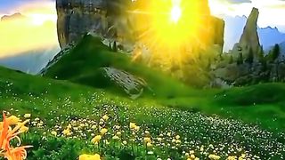 let's enjoy nature togehter ll amazing video