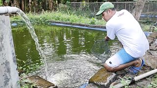 Menangkap Ikan di kolam