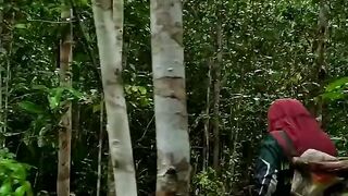 camping alone in the forest