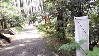 BANDUNG LEMBANG PARK