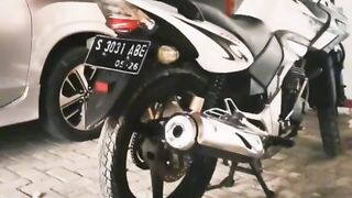 TIGER MODIF