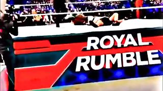 Roman Attacks Lessnar