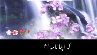 .video