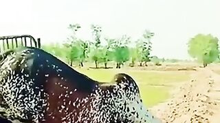 Ab Inka Seazan Aageya