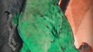 Grand Eclectus