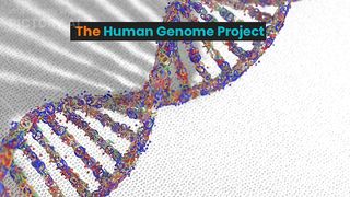 The Human Genome Project