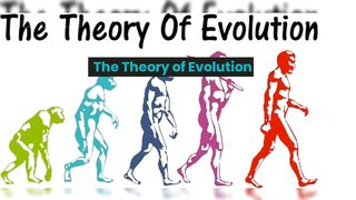 The Theory of Evolution