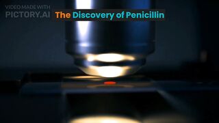 The Discovery of Penicillin