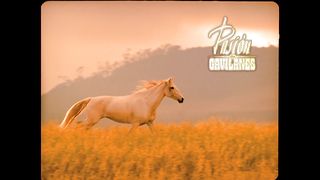 Pasión de gavilanes Capítulo 14