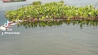 Belajar mancing